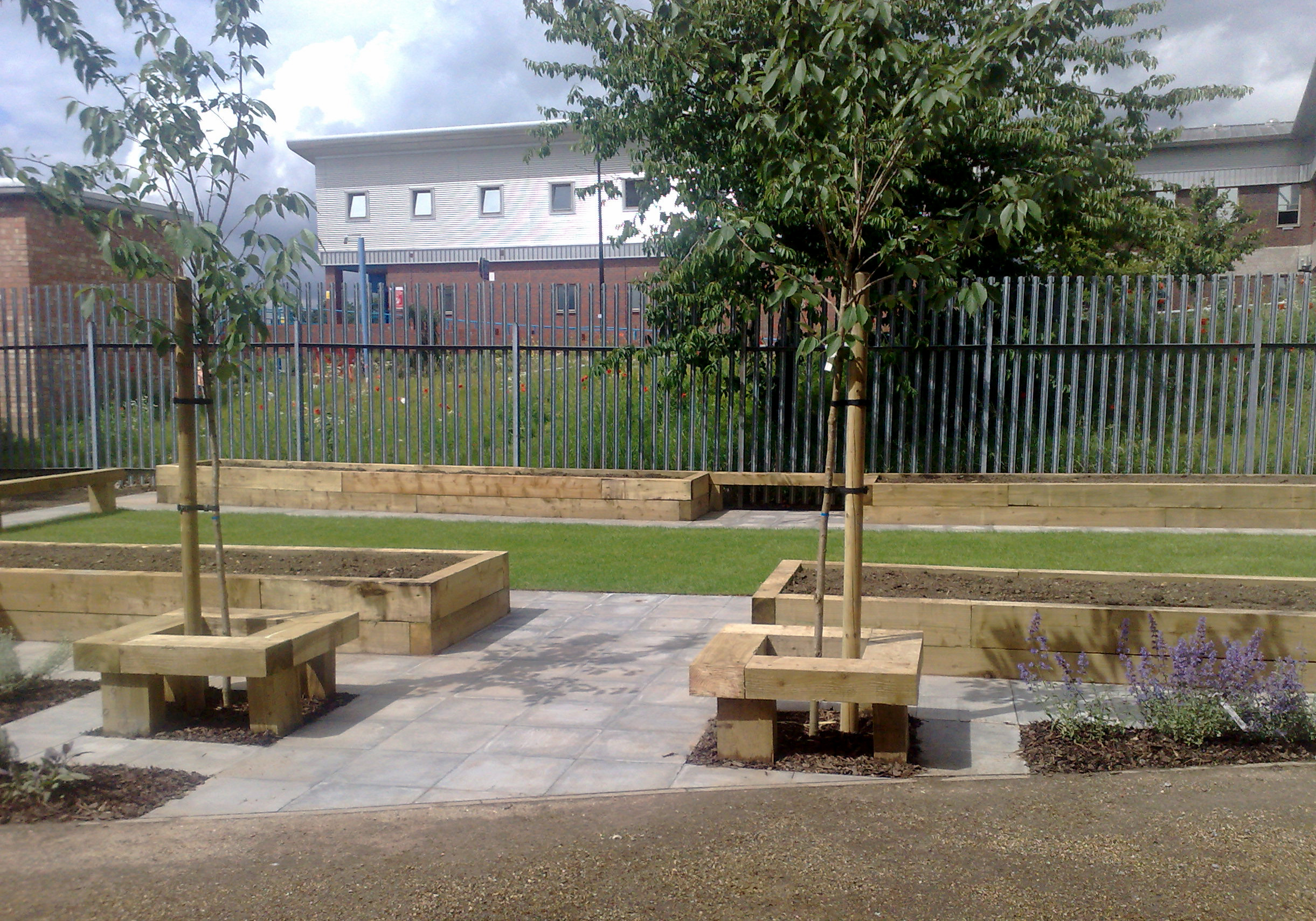 Wildlife pond full of flowers and with seating and enclosed areas